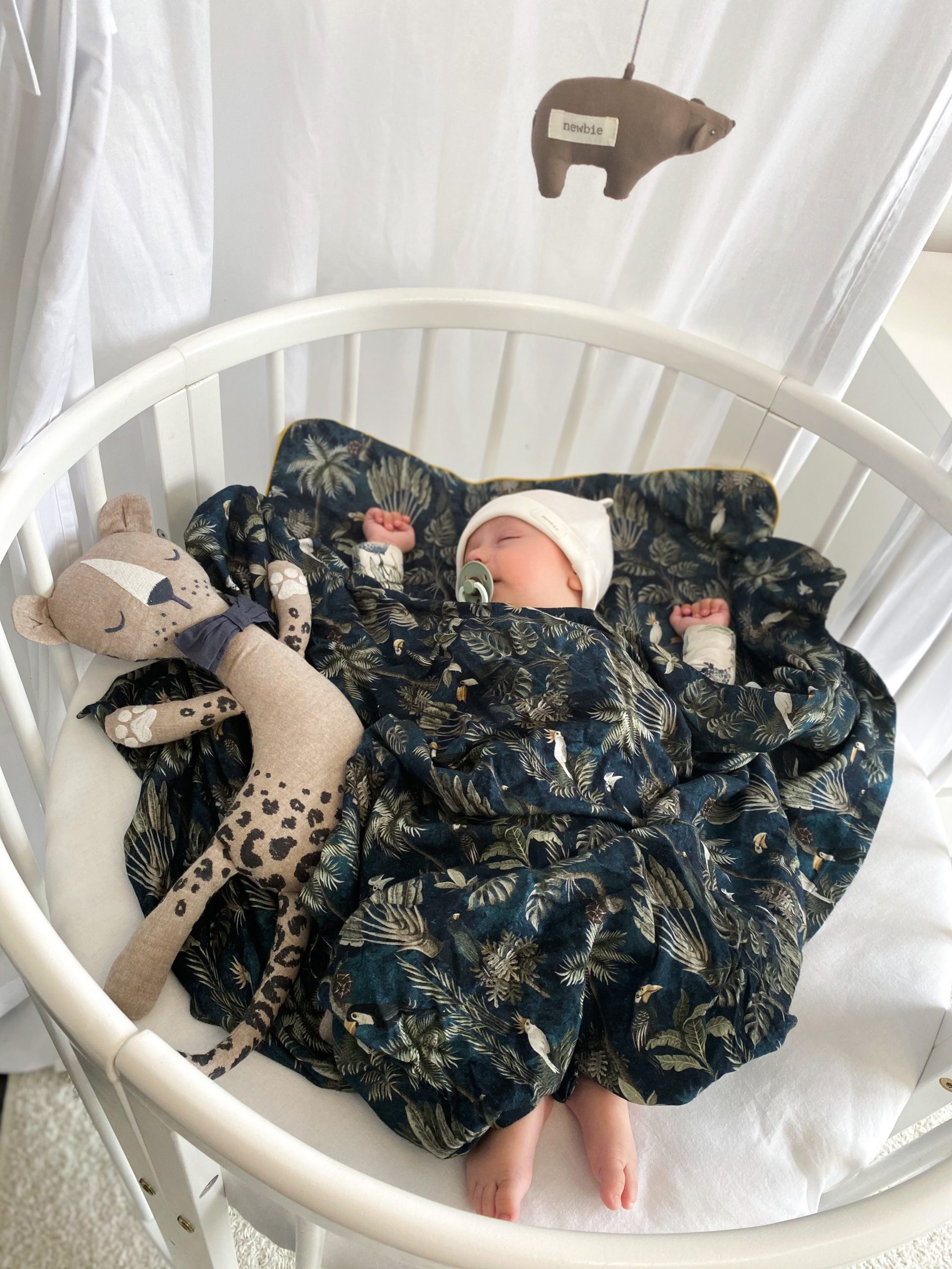 D769104E-A49C-4131-A05E-F20D33F45898-scaled D769104E-A49C-4131-A05E-F20D33F45898-scaled