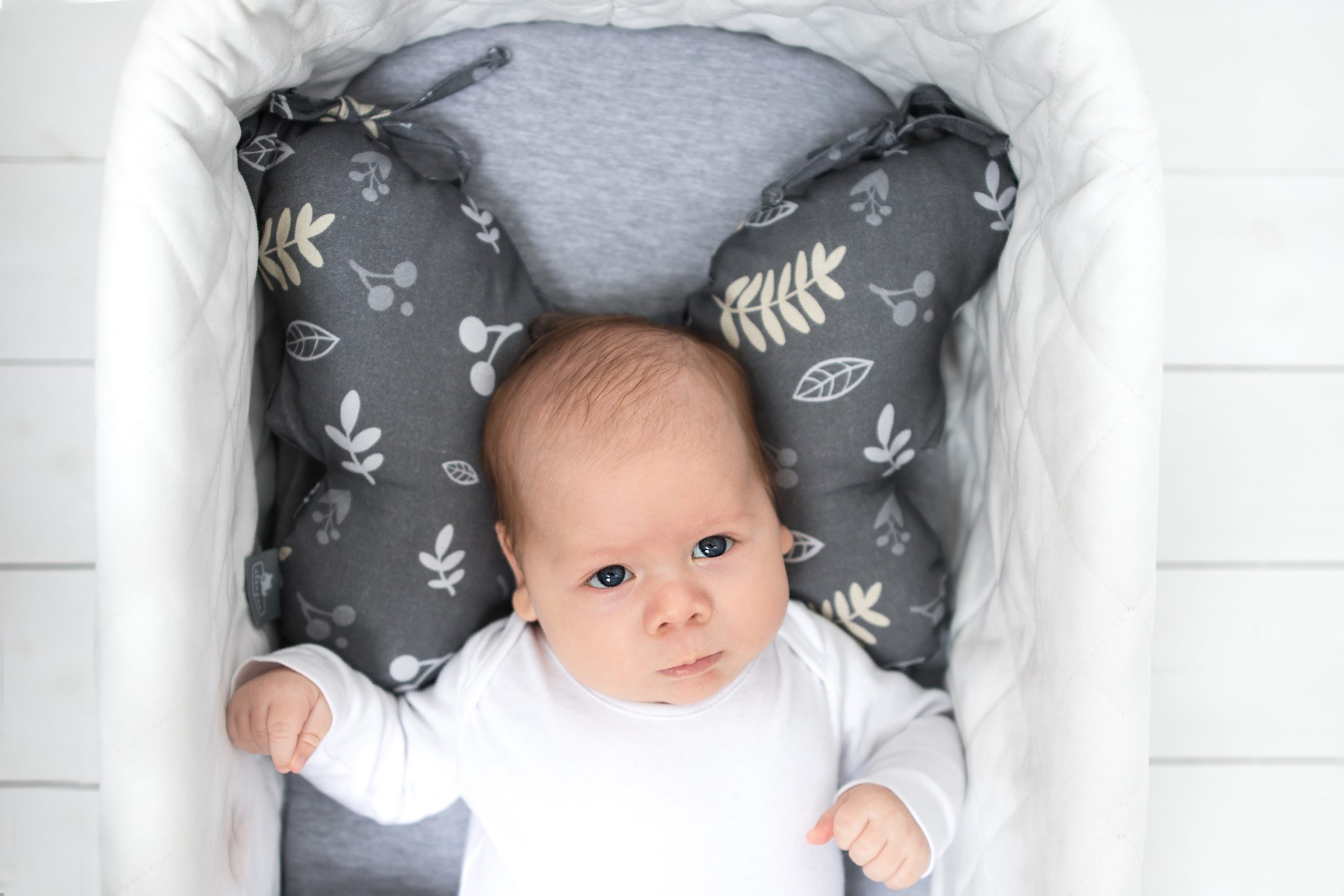 perna-antisoc-dots-bambus4-scaled perna-antisoc-dots-bambus4-scaled